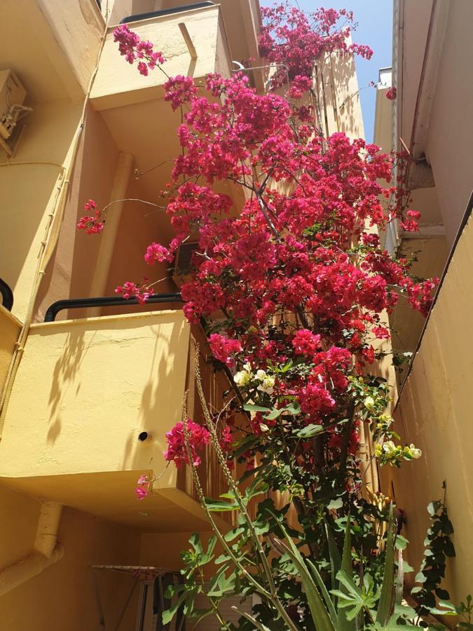 Drosia Hotel Georgioúpoli Extérieur photo