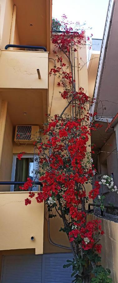 Drosia Hotel Georgioúpoli Extérieur photo